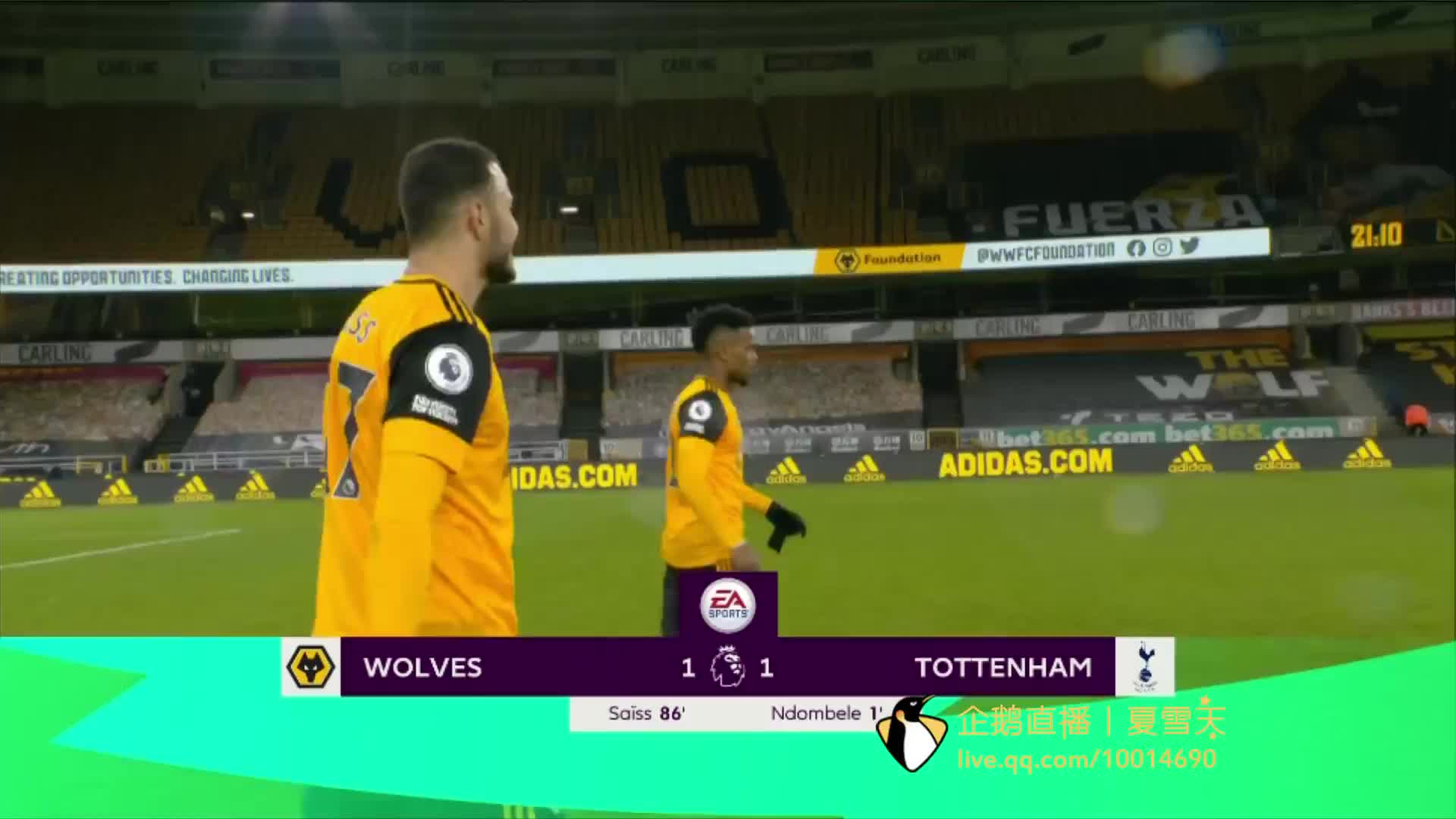 的年轻球员 的年轻球员